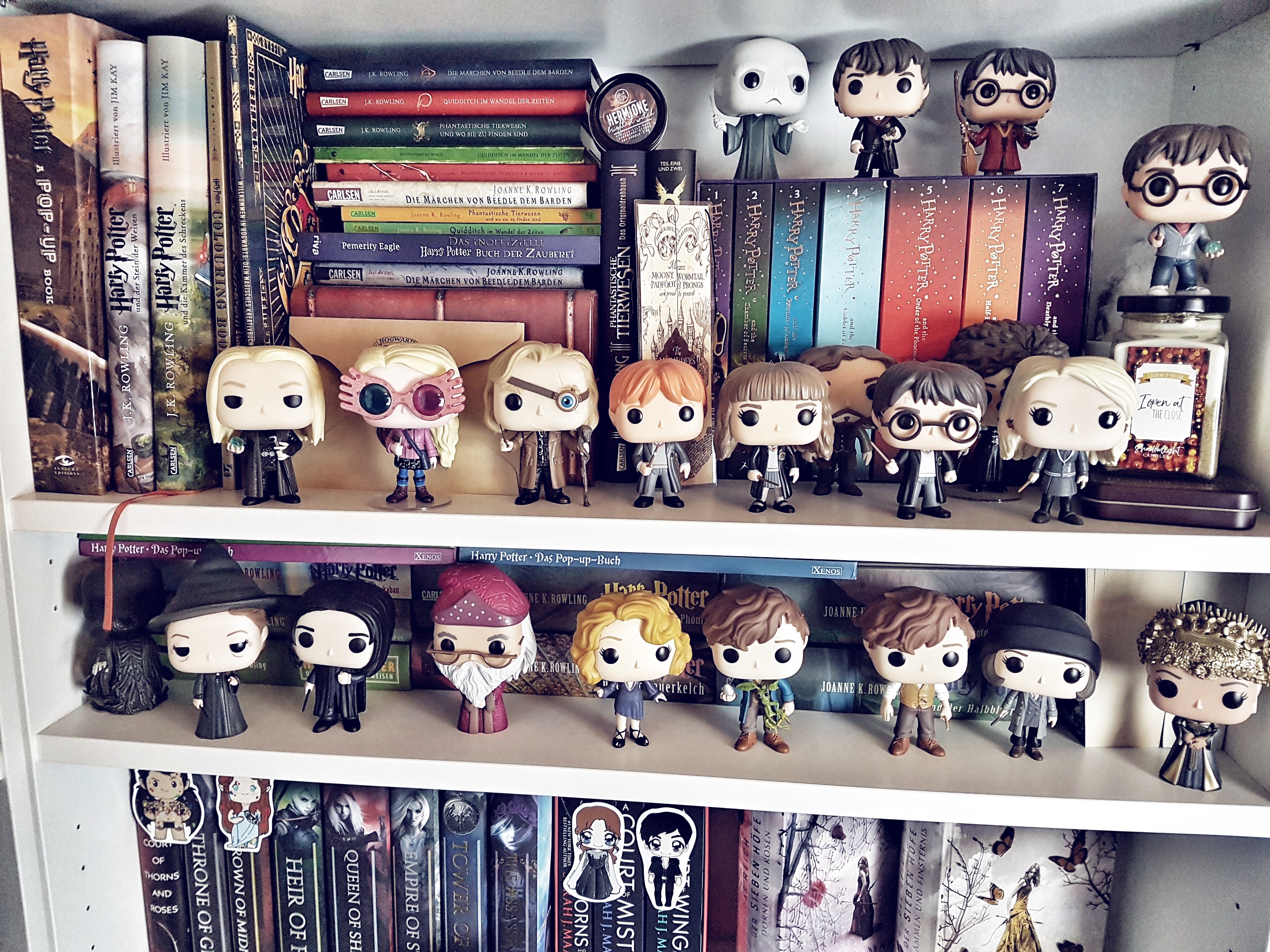 Harry Potter Shelf.jpg